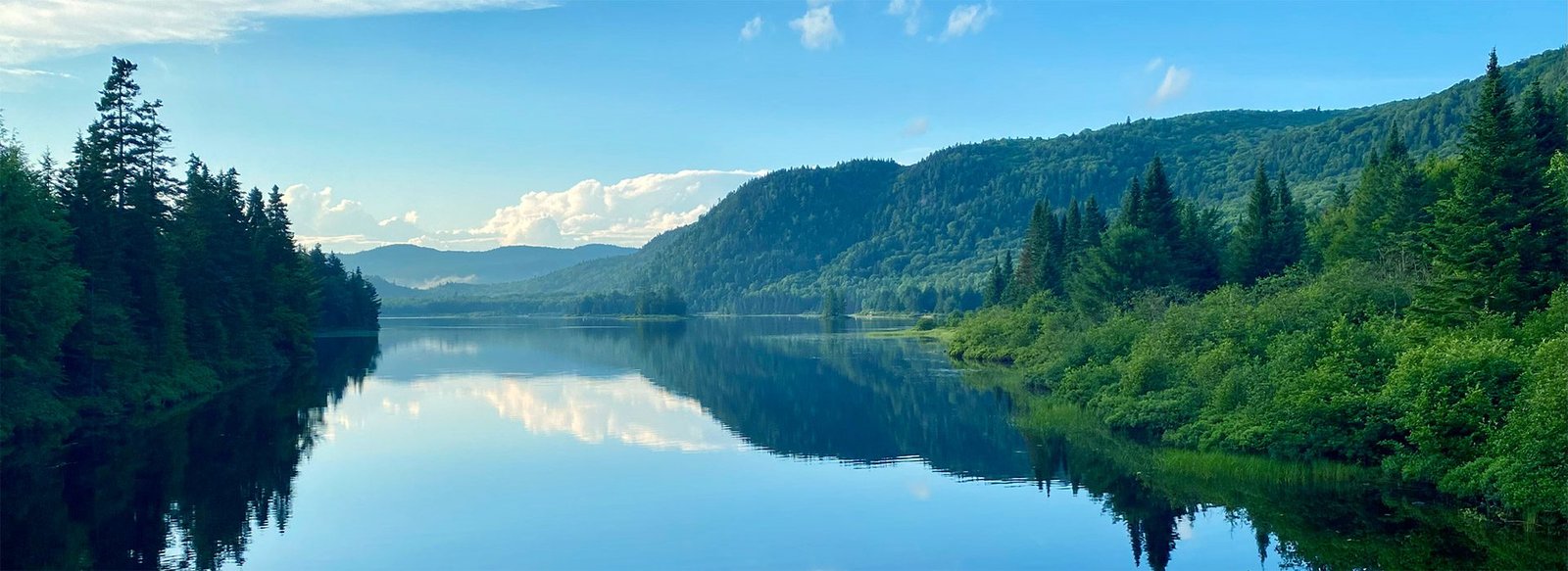 MHFPerreault Landscape BG