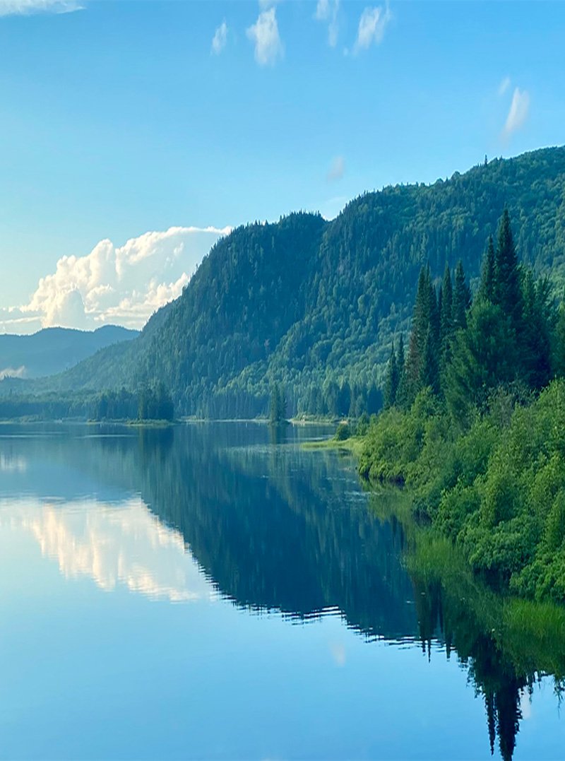 MHFPerreault Landscape BG Mobile